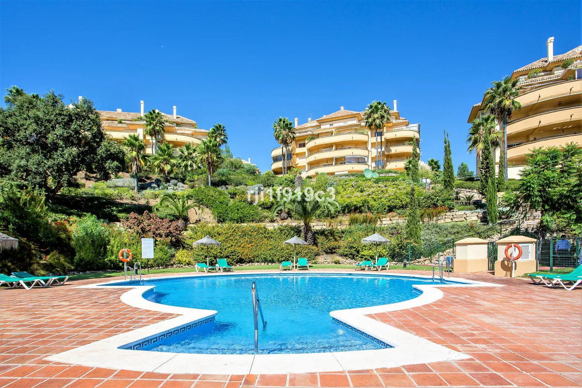 ac05c2de-0c3d-48d7-b59a-3909951e1f7b