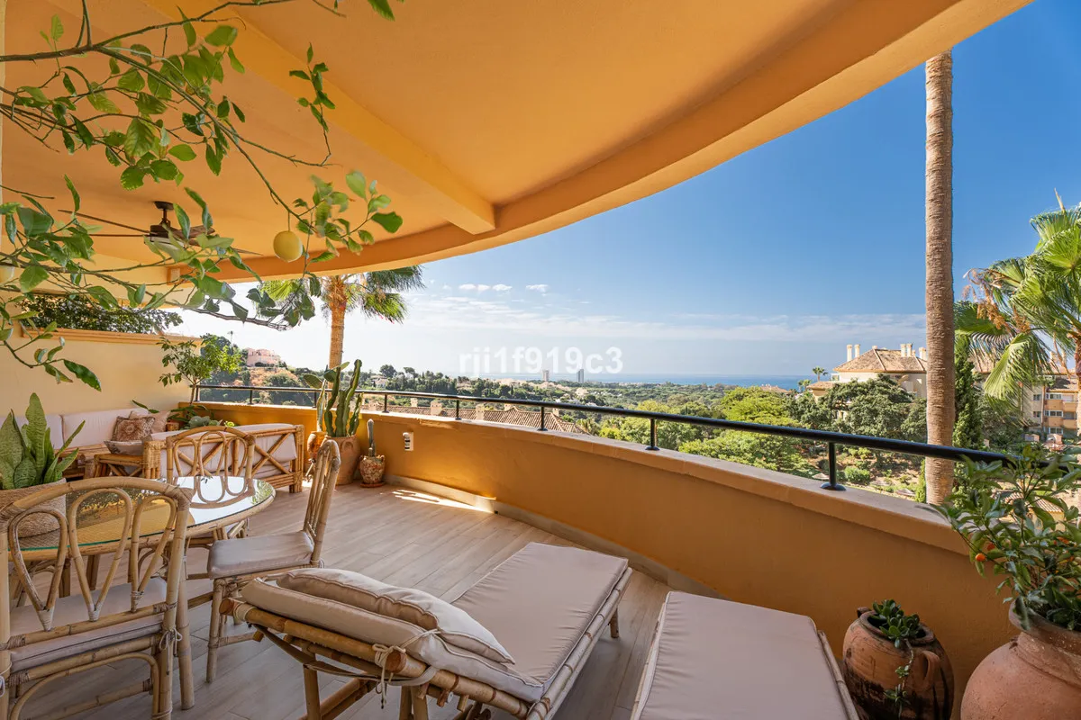 da33a830-aff1-4e4d-afef-0d47a71adcfe