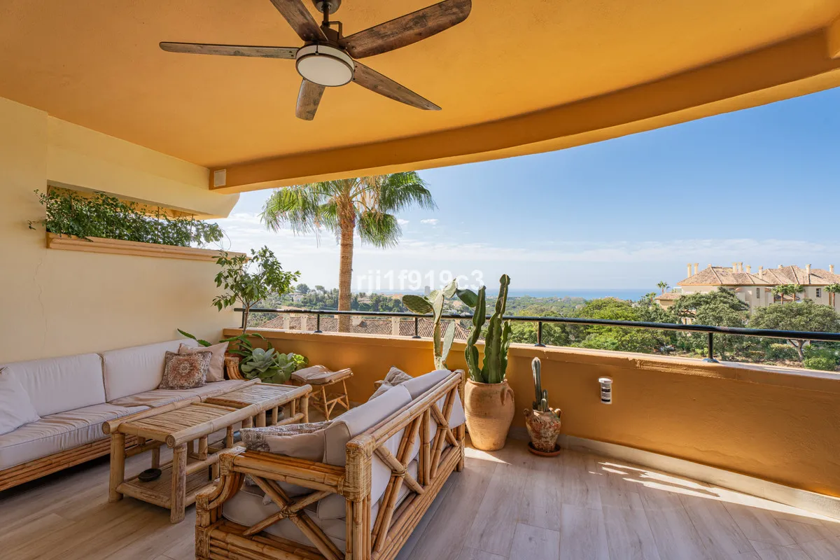 da387197-7769-4e5b-8236-5d9c1cd31313