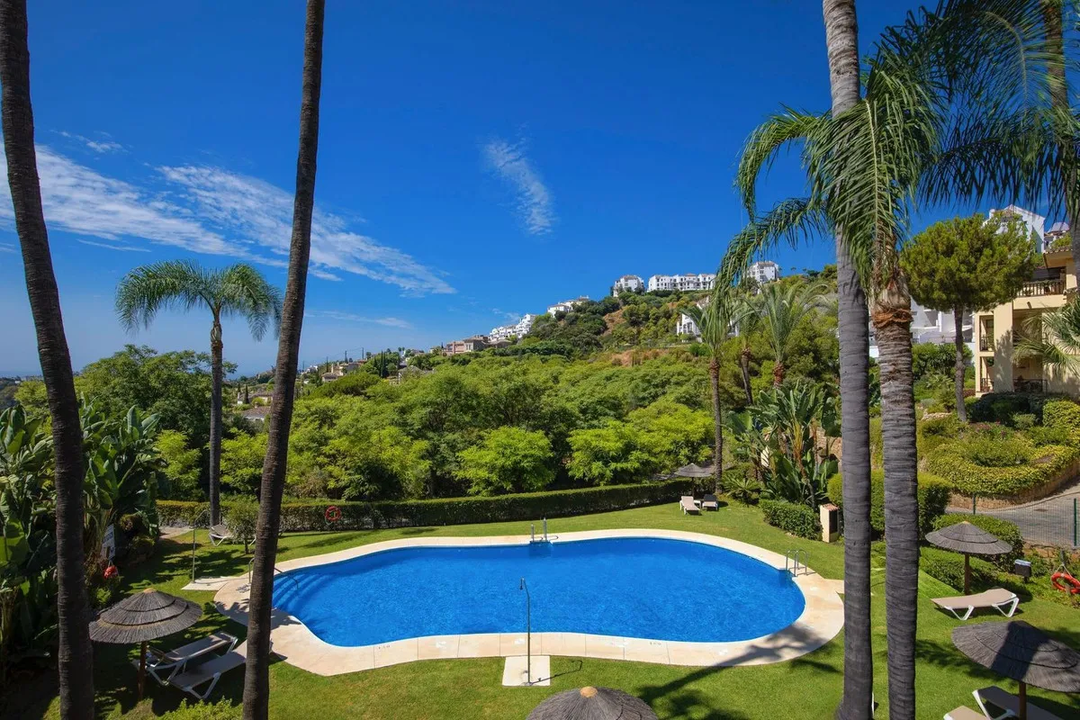 6eb806d7-ca03-49ee-88d1-399dc8fda3e0