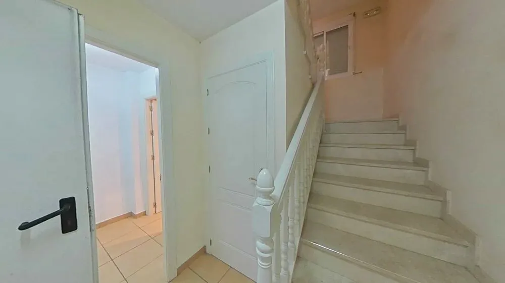 005e89a3-9e15-4f1d-beaf-d7ee018b1c3b