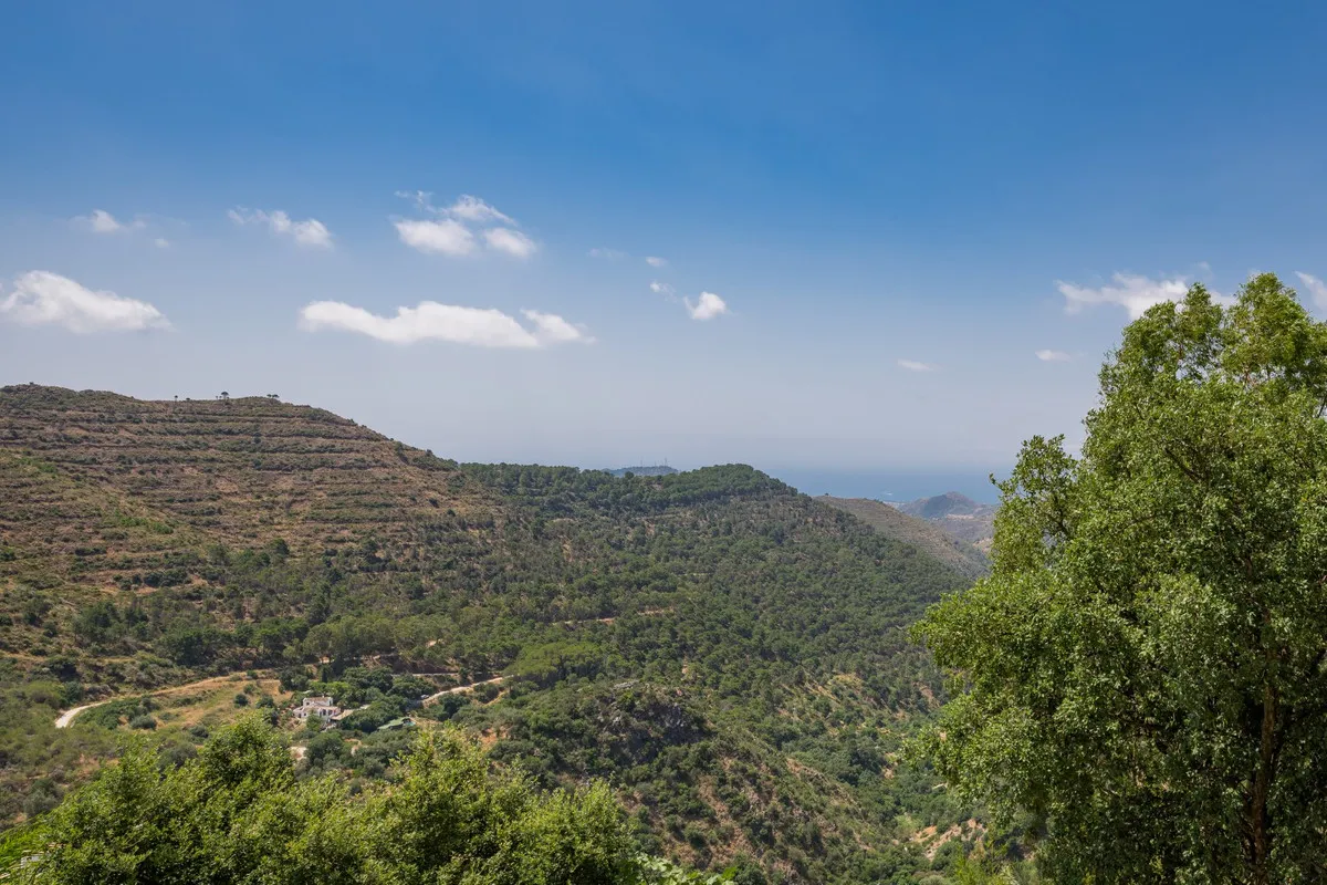 8a1819d2-e0a1-4e81-a646-c7226e671acb