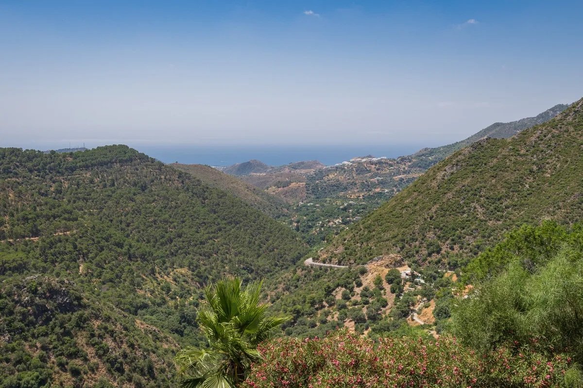 96bad9d2-9fde-4d6e-887e-bbd2e4a801a9