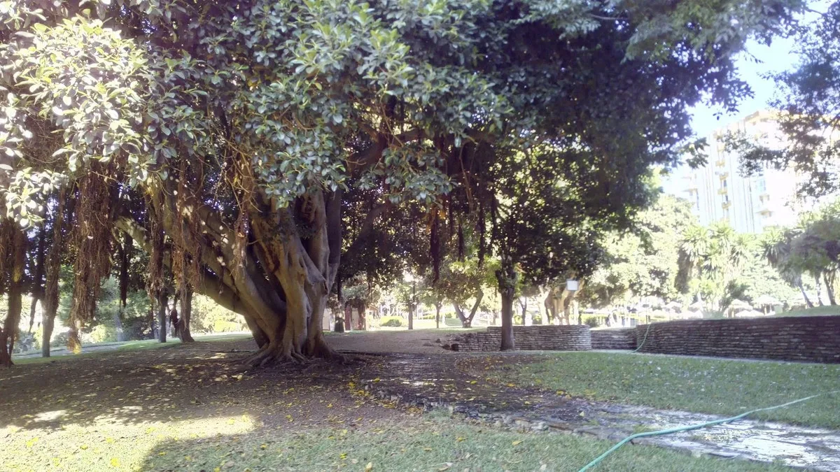 5c2e7be0-b9c7-481f-b3c6-cdd9068a826b