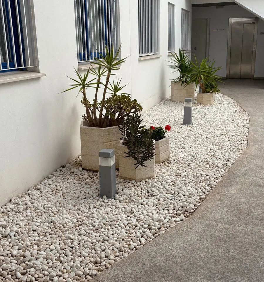 3221bc06-f8e4-44f6-aba8-3eef43e0e578