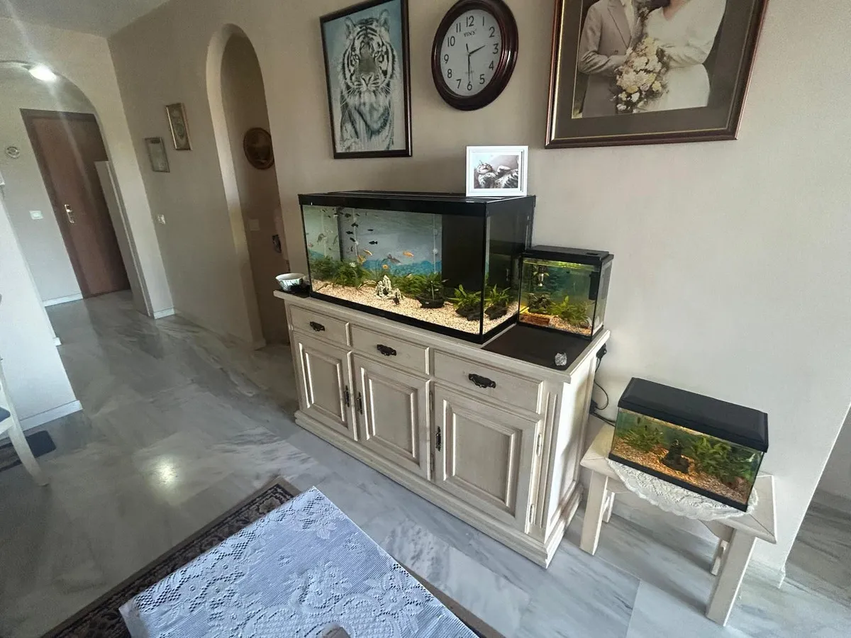 b6e79bad-6030-42b1-a40d-f053f3d5066e