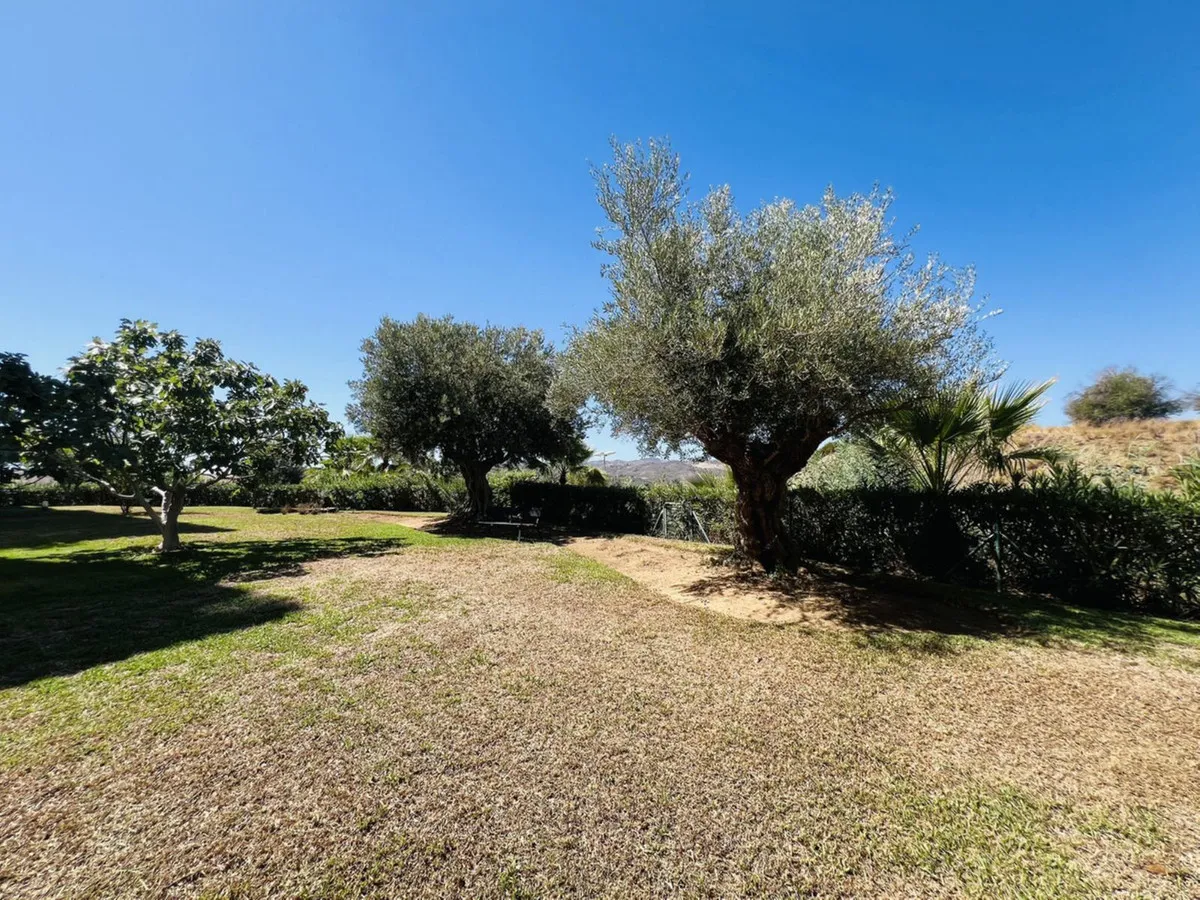 cc5e8195-d7cd-4bc1-8bc1-5cc6b2924a66