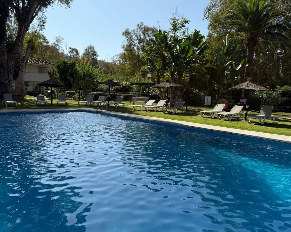 2441a99e-09da-481e-9ec3-54d3439fc277