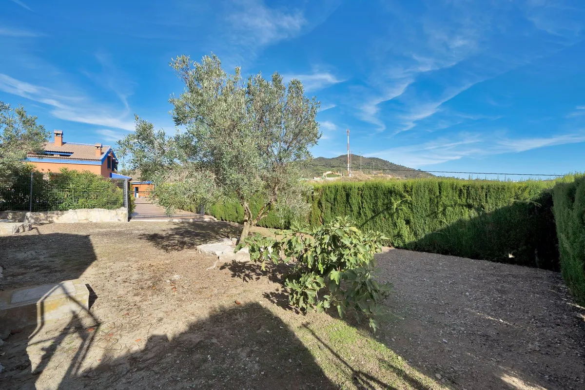 0256efc8-f9ef-461f-945a-fd383c726197