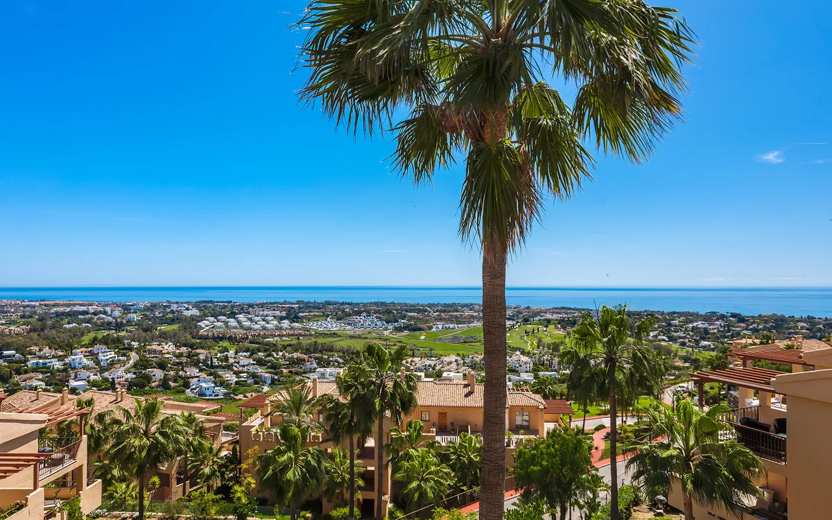 d6768419-58d0-4c12-a6a8-45cd4f6389f8