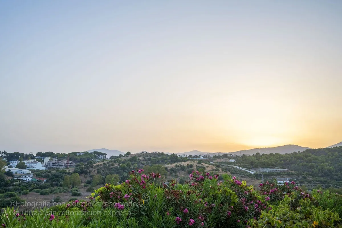 758af997-943e-48a4-85d8-7f9474c3f053