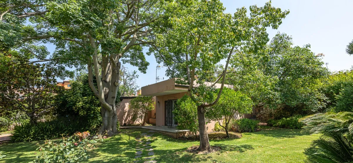 6bb54145-4c51-4314-9e74-7e160dd8a5cc