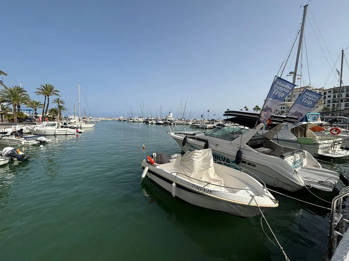 fe81bd3c-03de-4ad0-94b1-2899fcf14f16