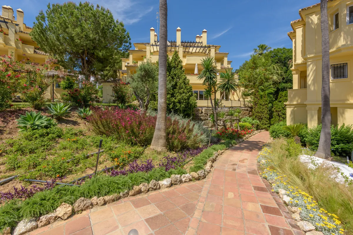 1ba412aa-9820-4c33-aba9-ac5c4a26cf0f