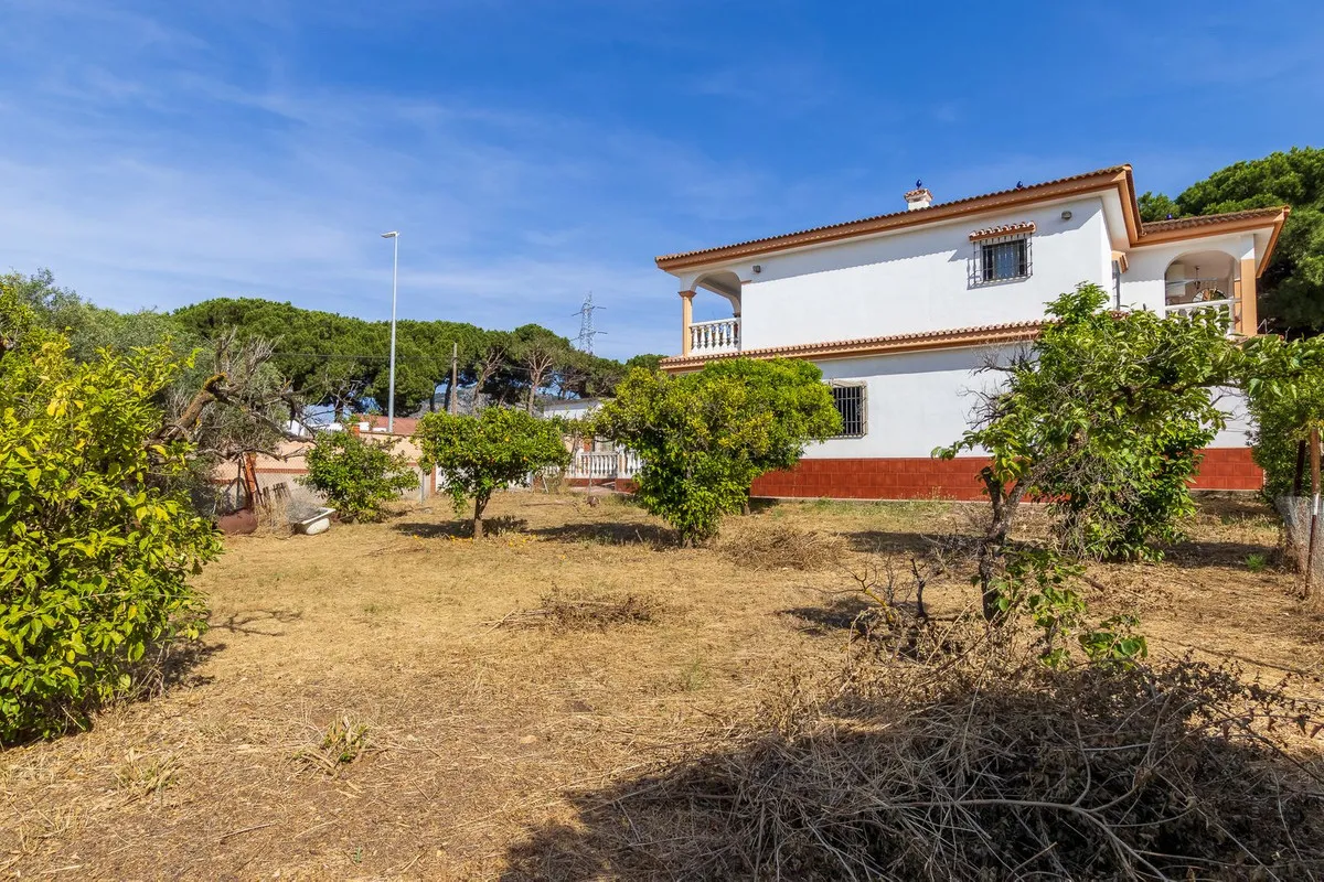 cbe4c770-1f40-4cc4-986a-538e1dc90854