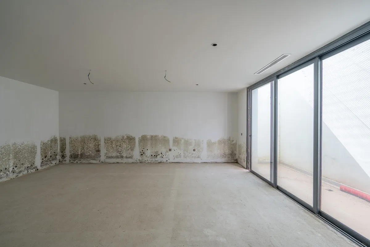 efb1c246-6d89-427b-8deb-7e77de011c39