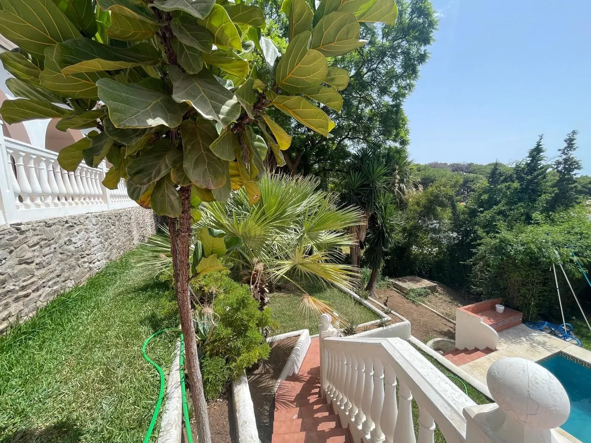 cedd9dc9-be91-4e97-a882-a1fc67f8c64a