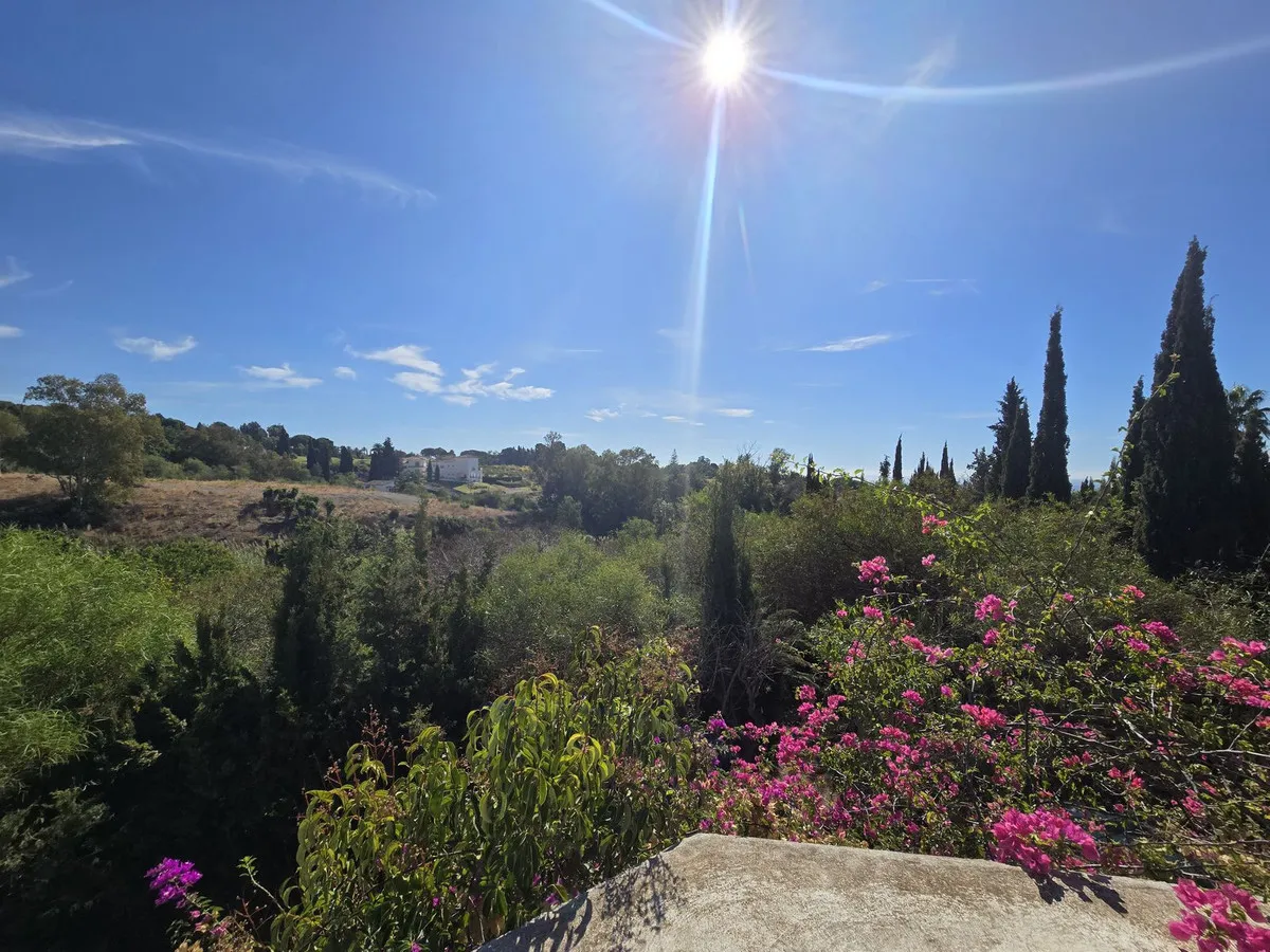 dccee097-f73d-49b1-979e-273daa0c561b