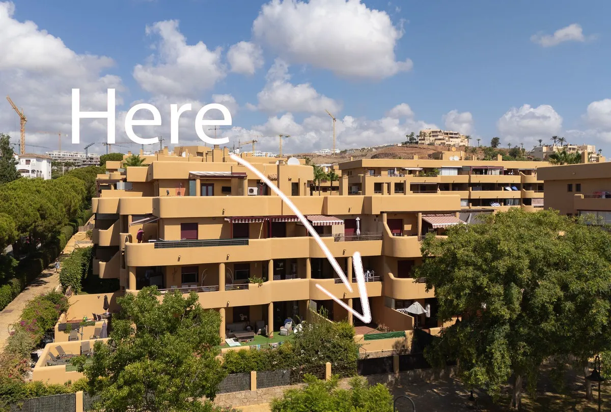 99cba4b9-15ed-491a-a5b7-4daa8d2497a2