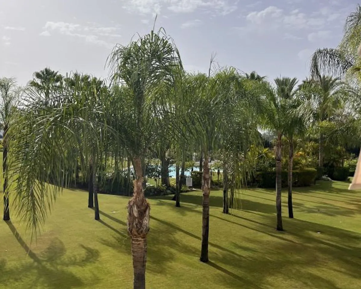 29996c87-dab6-41e7-aba0-cbe02ec567fe