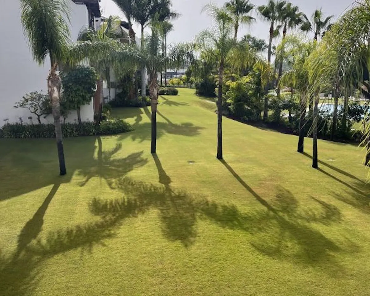 7e1d4395-0e2c-4350-9f07-3810ea1c652a