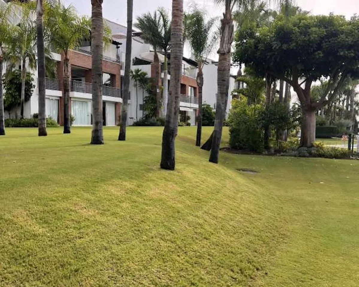 e1e13655-15d5-4044-b3dc-a2d203f13c5c