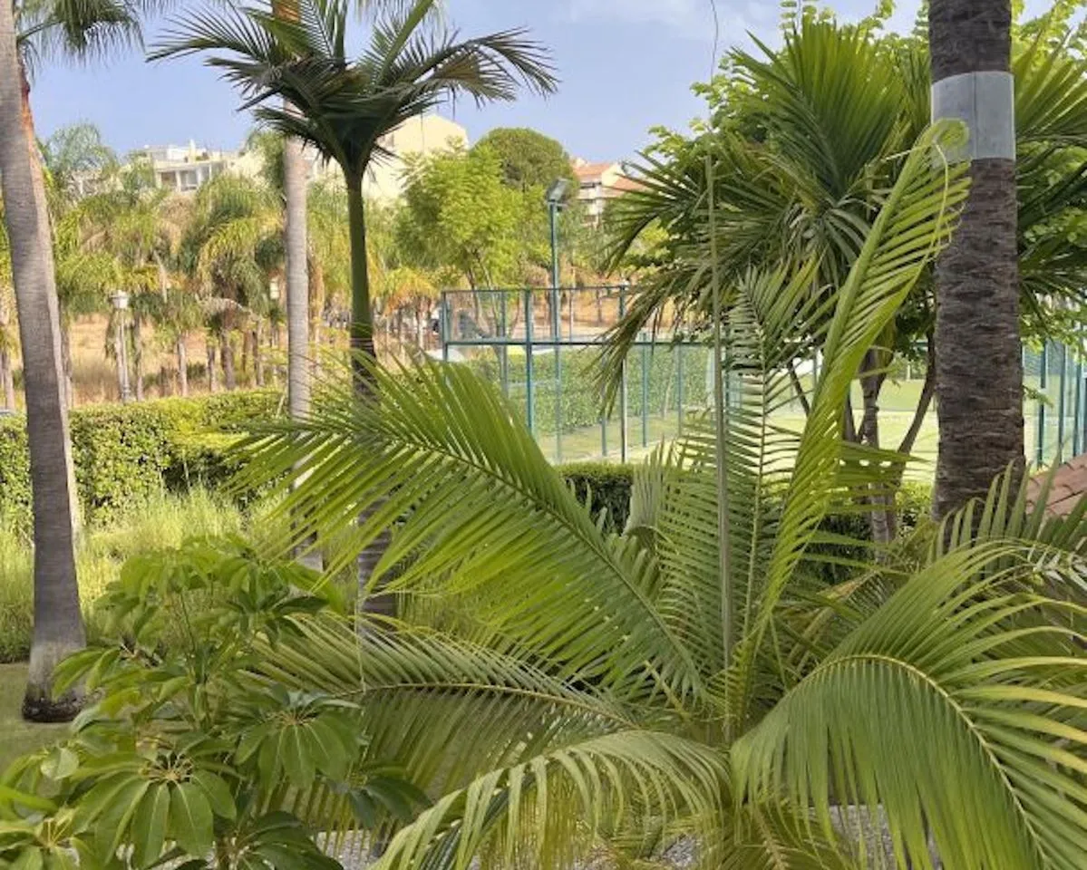 fd8f5cb3-35e5-42e3-9fb2-5b856ac54cc6