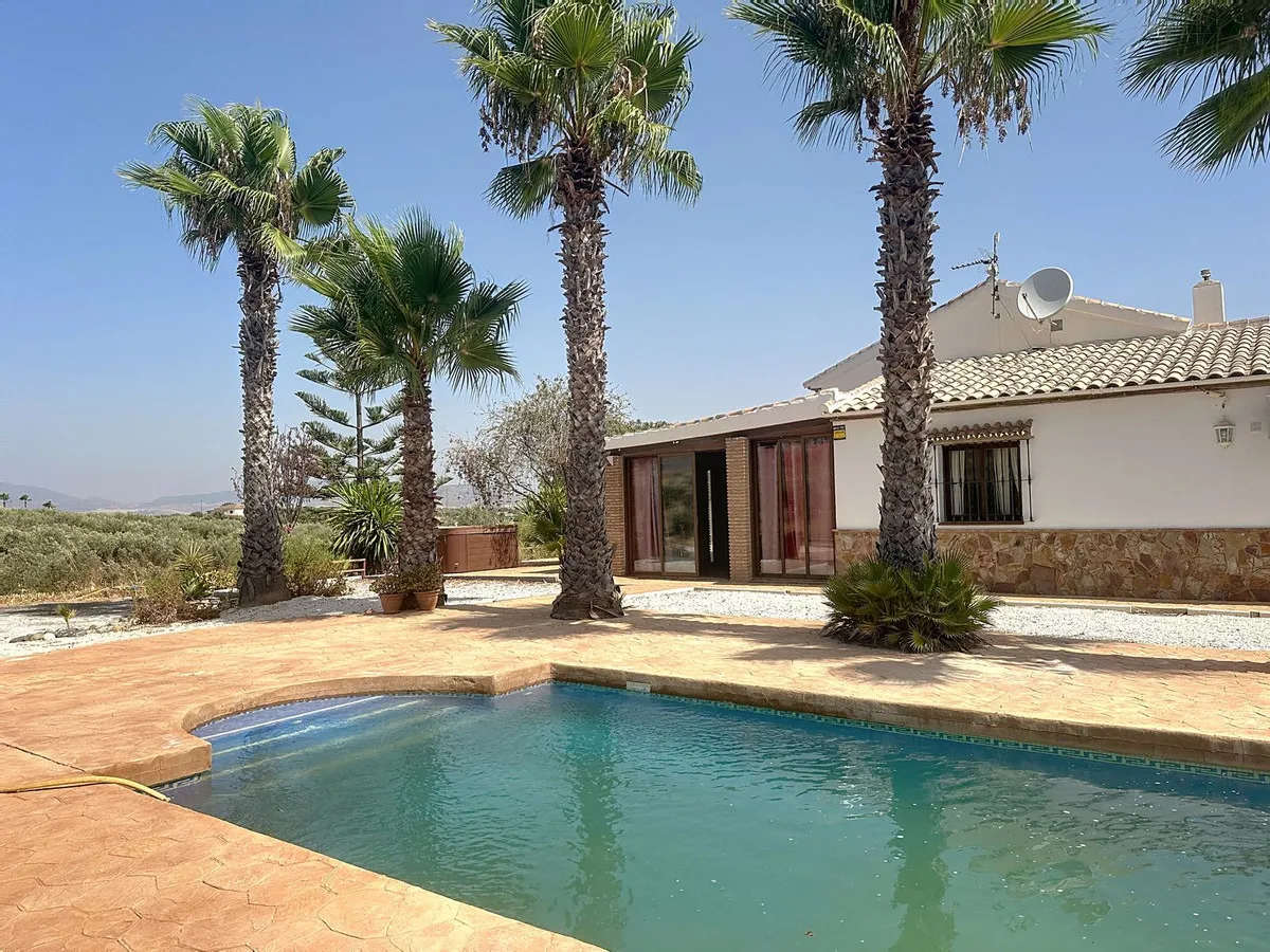 243436f6-e6ae-4b50-bf36-72152559ef29