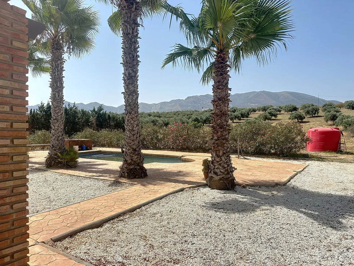 b1dee2d9-7dd1-4806-a113-8acfd7b12cea