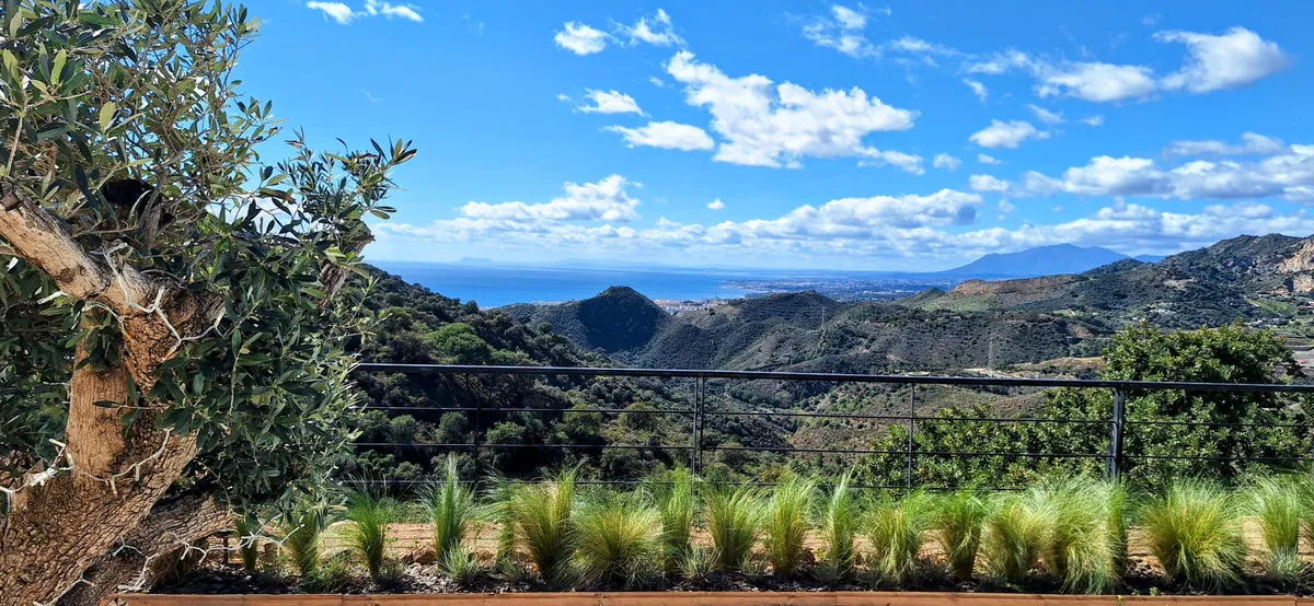 8764d296-3d74-43cd-802e-8de6a8e6ce33