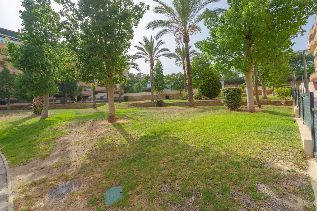 905a12d4-9a52-4622-bb4f-1112efd013a6