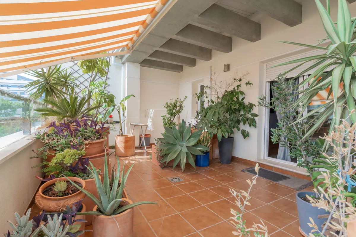 ebf666c3-296d-492f-84c9-fa8923a50f0e