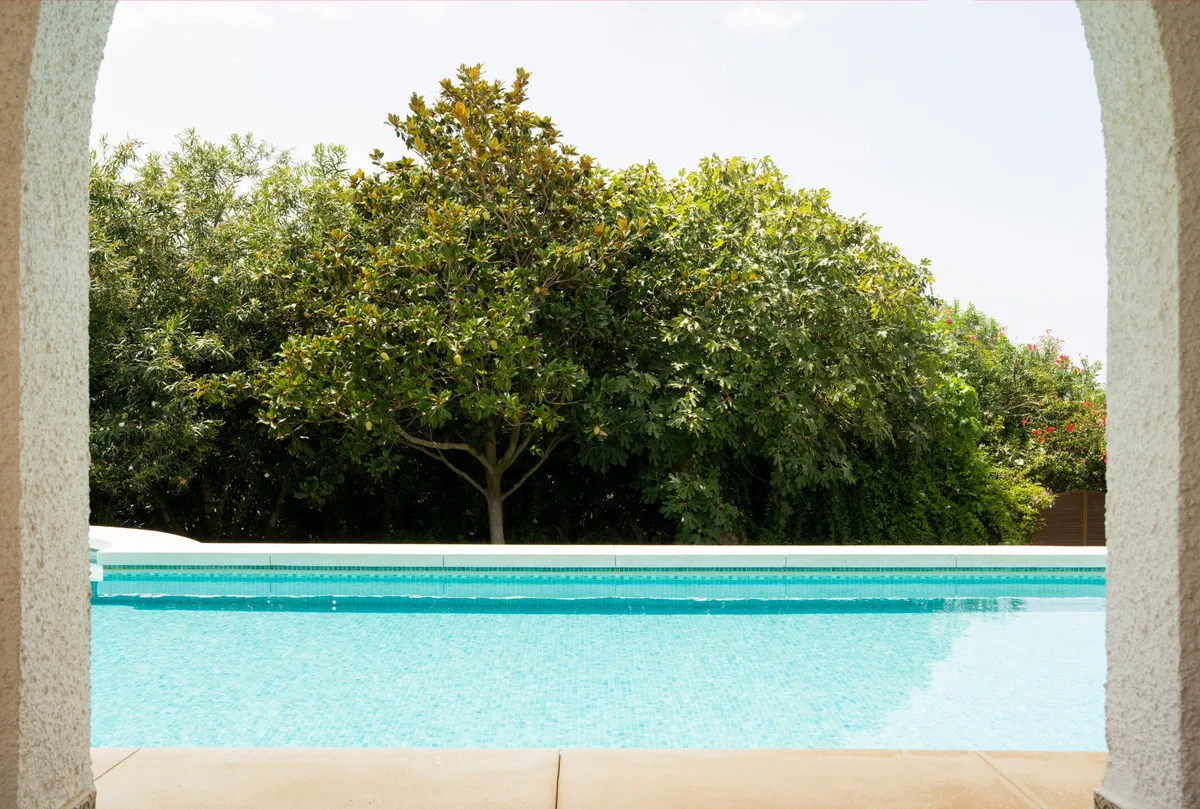 ff7d02f4-ef89-418e-a684-843adb9fe583