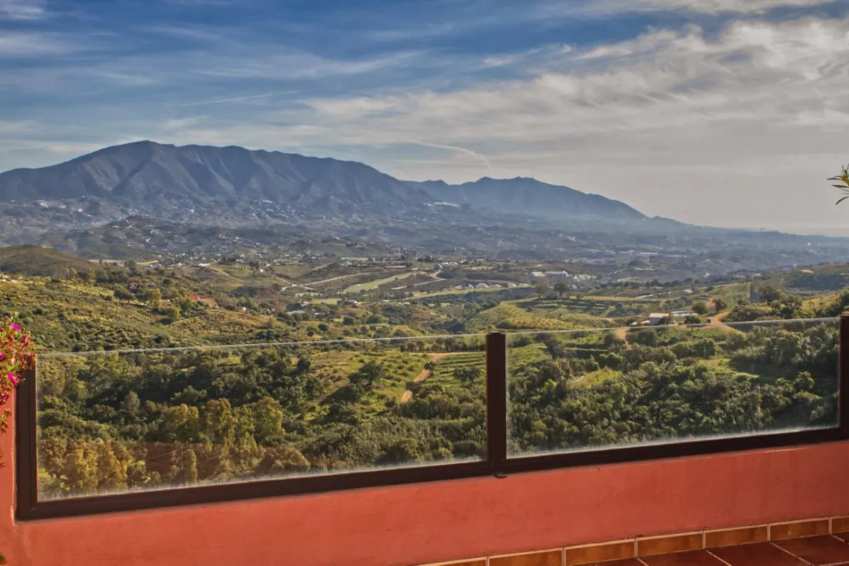 c872c594-0762-4bd4-b102-95d5ec6a0b41