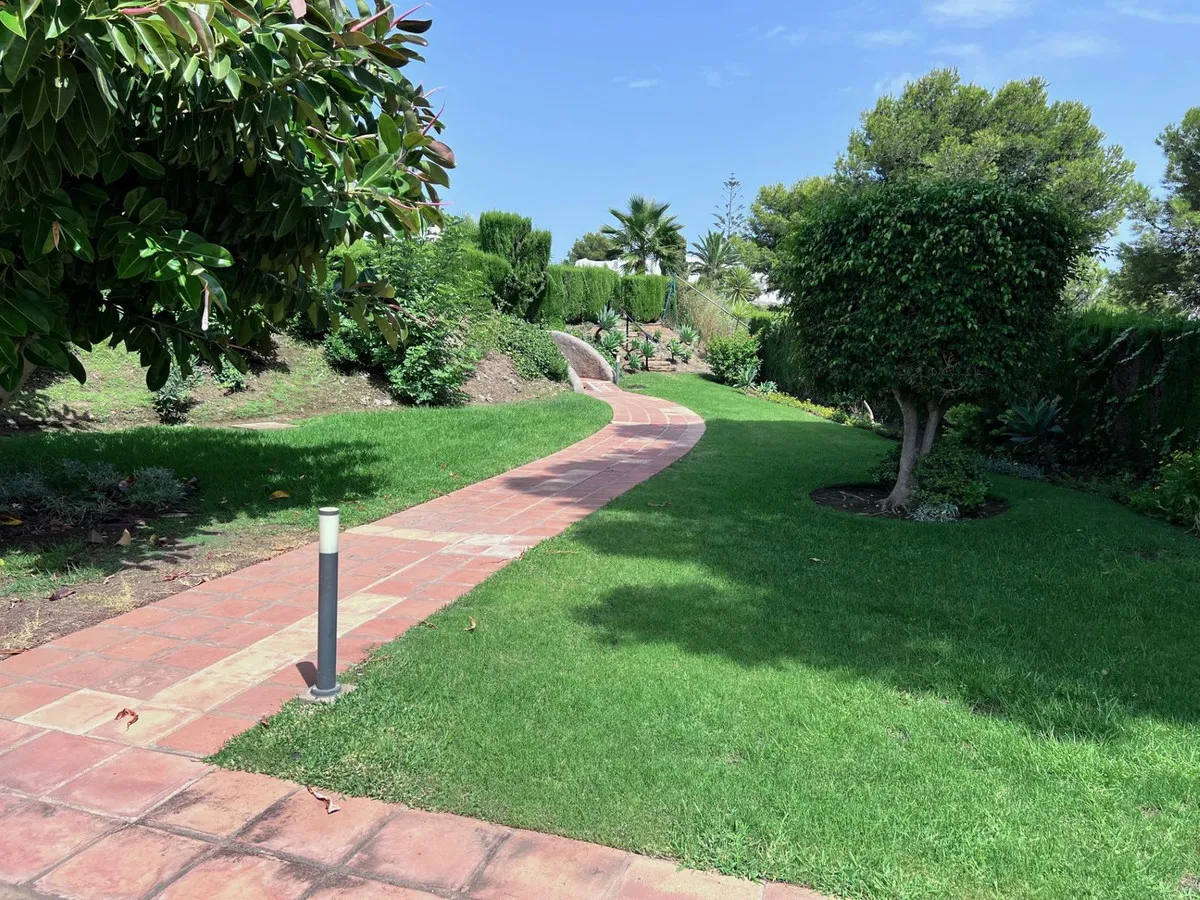 d6c704d2-2ff2-46ff-ba26-71e4da5e158b