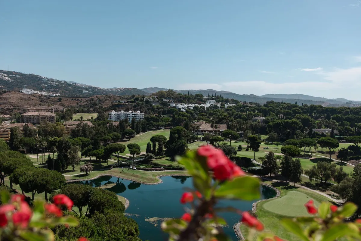 258fea2d-d0df-42bd-8a83-dddcb3910fb1