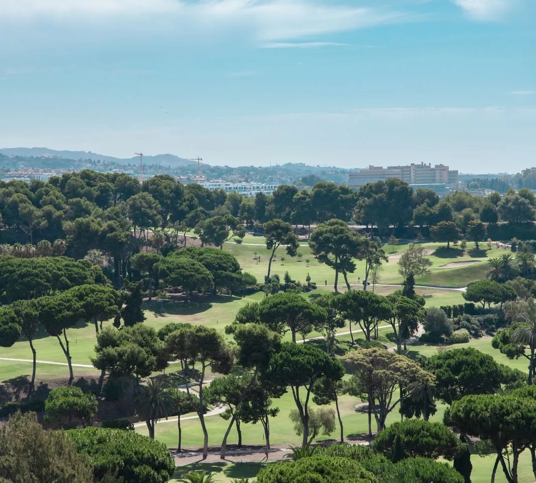 444ec6a9-c755-4818-9ccf-9d7e22ee25cd