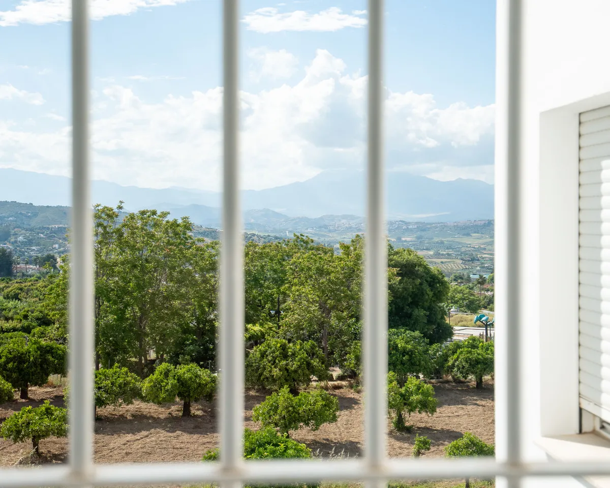 5dba68c3-0ae8-42b1-b344-b55b1c3ed86c