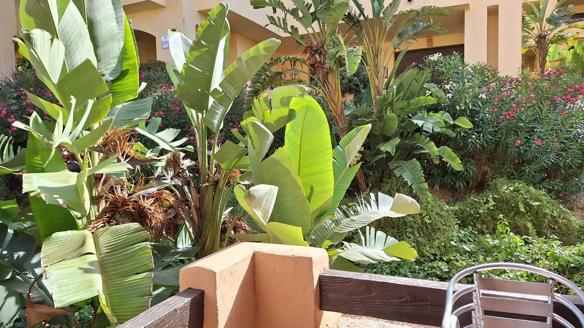 5dc011c5-983a-461e-944d-7d17224bf795