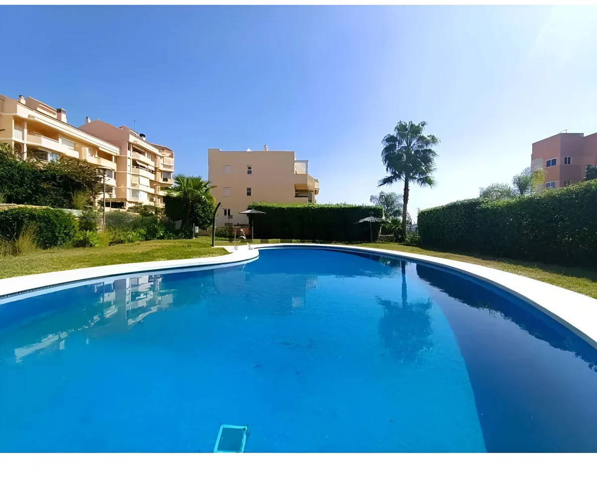 52985f10-469a-4ff4-8c53-8983ecbaa636