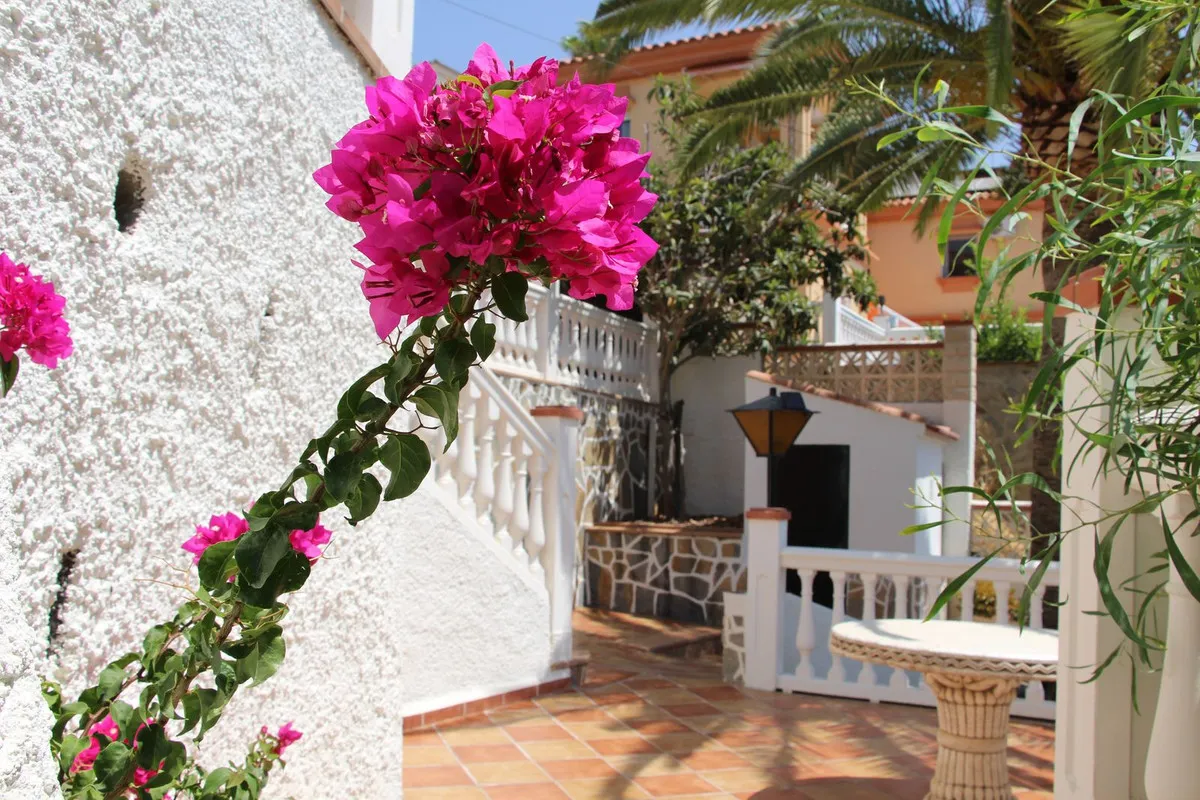 236479d8-5bf4-4a1d-ba32-430f8f79ab56