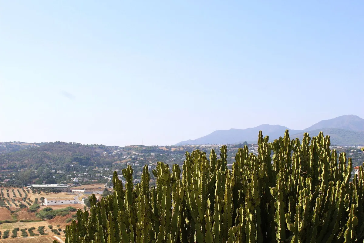 86b64ece-302e-42f5-beb4-2e702ca90aa7