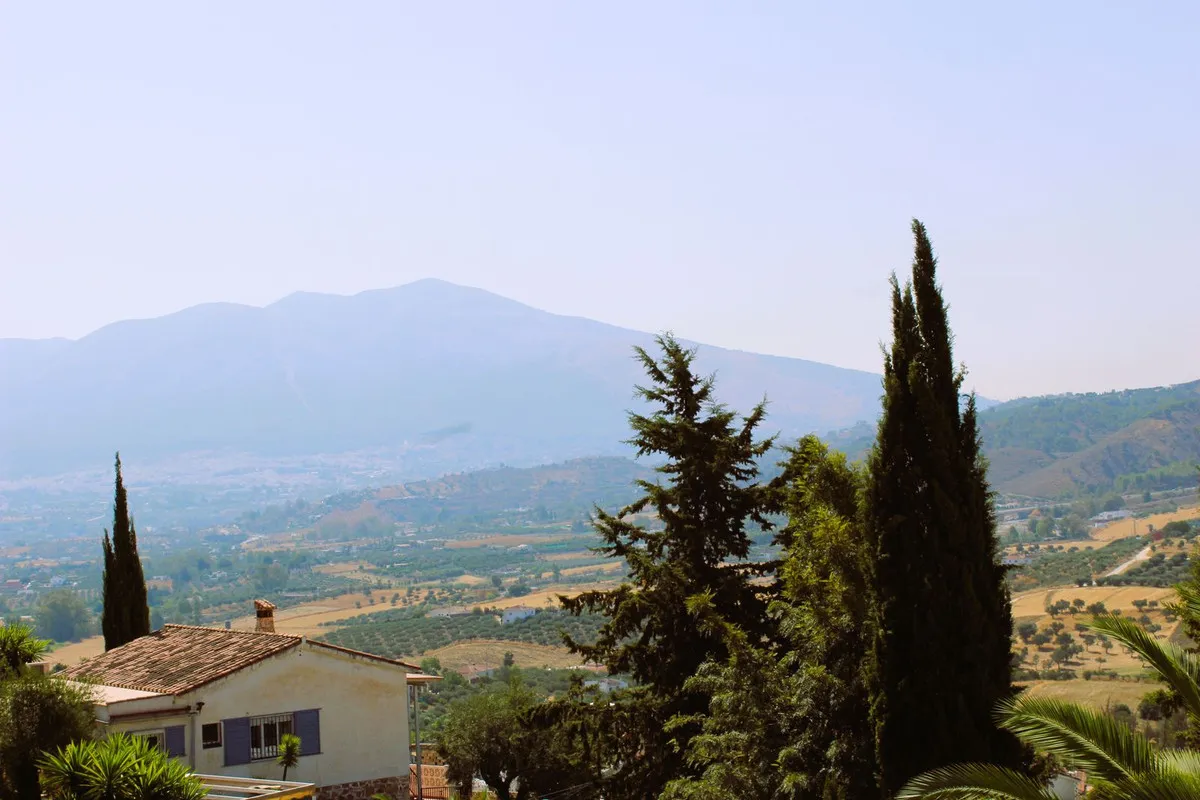 ff1bcb17-a51c-46f0-b9d5-5957c4cbbd8e