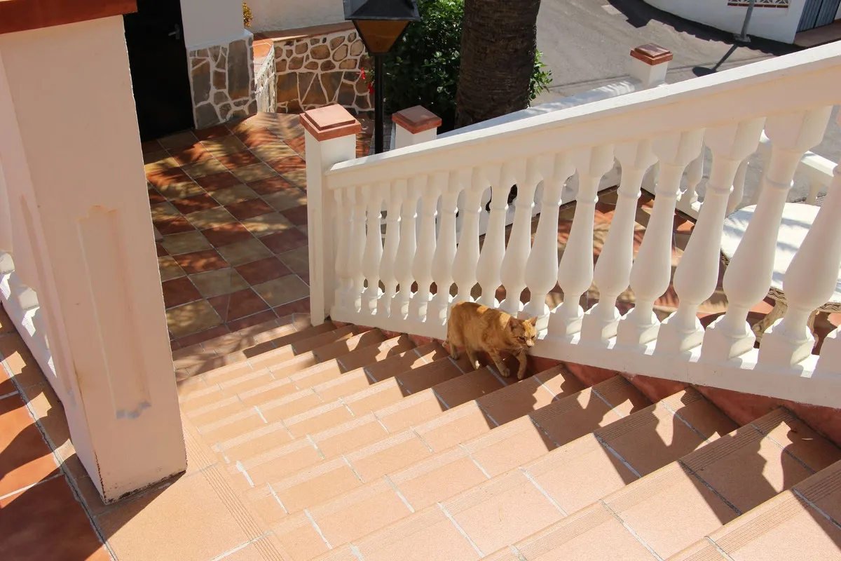 ff5e15e2-c3af-4bcf-a66a-ef9bc1ef2474