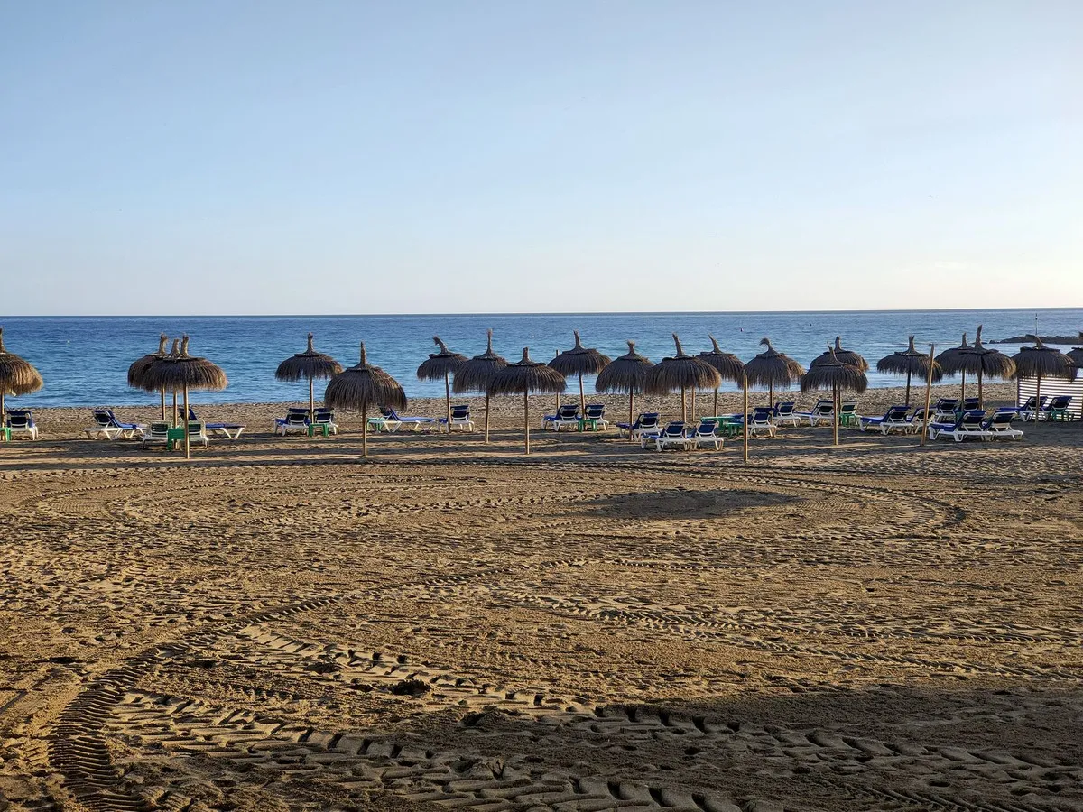 876d398e-13fb-4e09-93dc-b7afb12ef15c