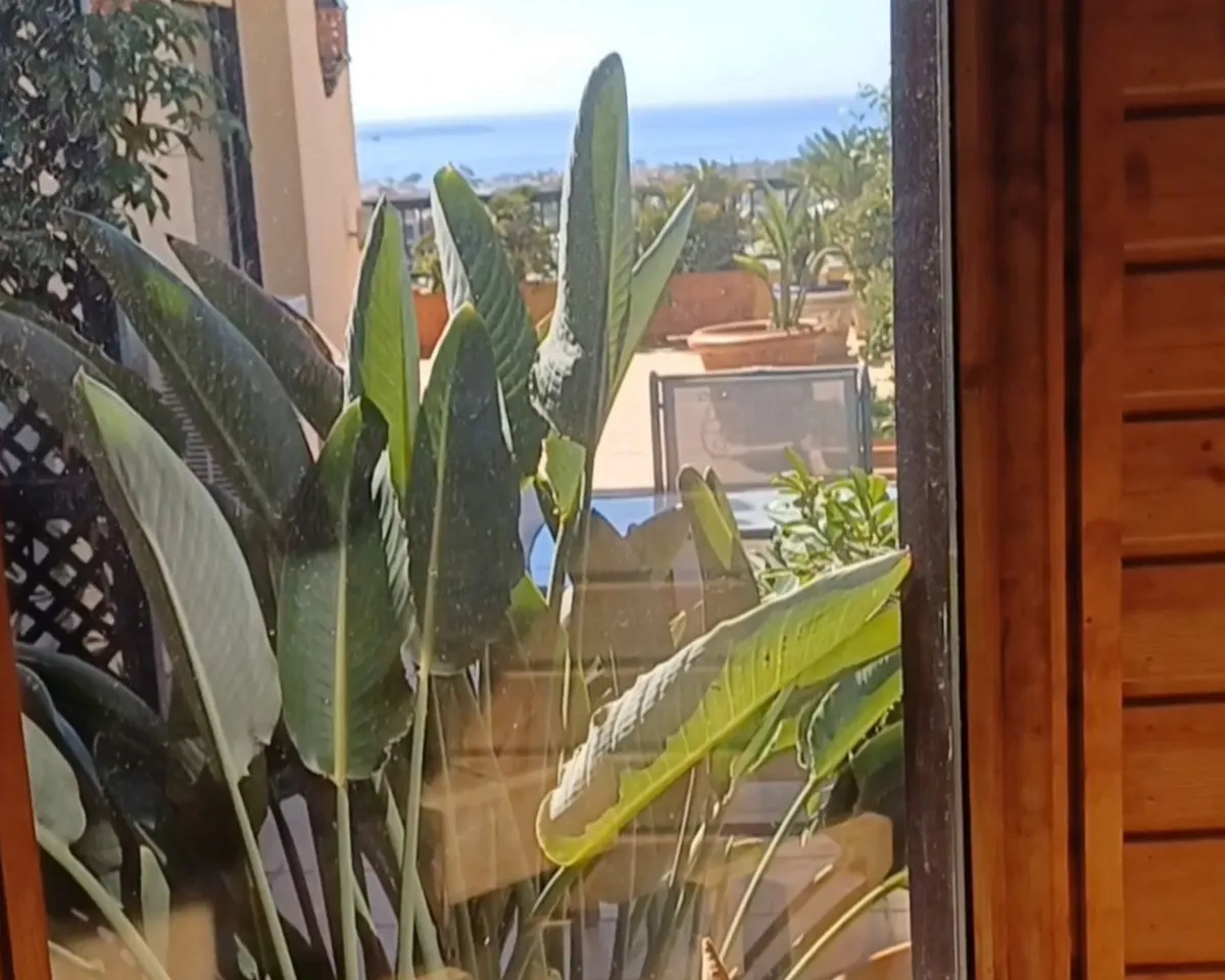 167bfea2-7ab1-412c-aeb5-f01e9deb53b0