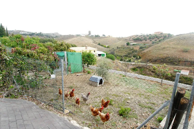 a836abc5-2888-4c46-90c1-cc352b8bab9d