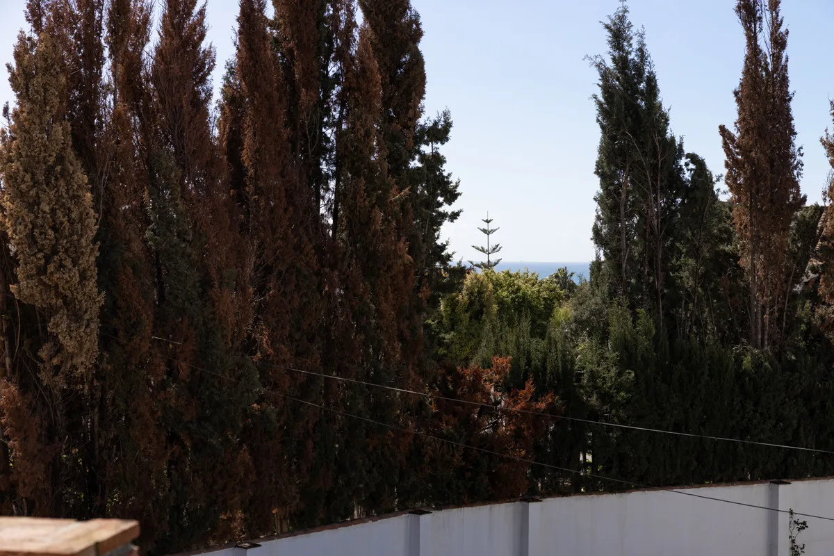 d5fa3655-bfc8-4a2c-905d-00d877b64837