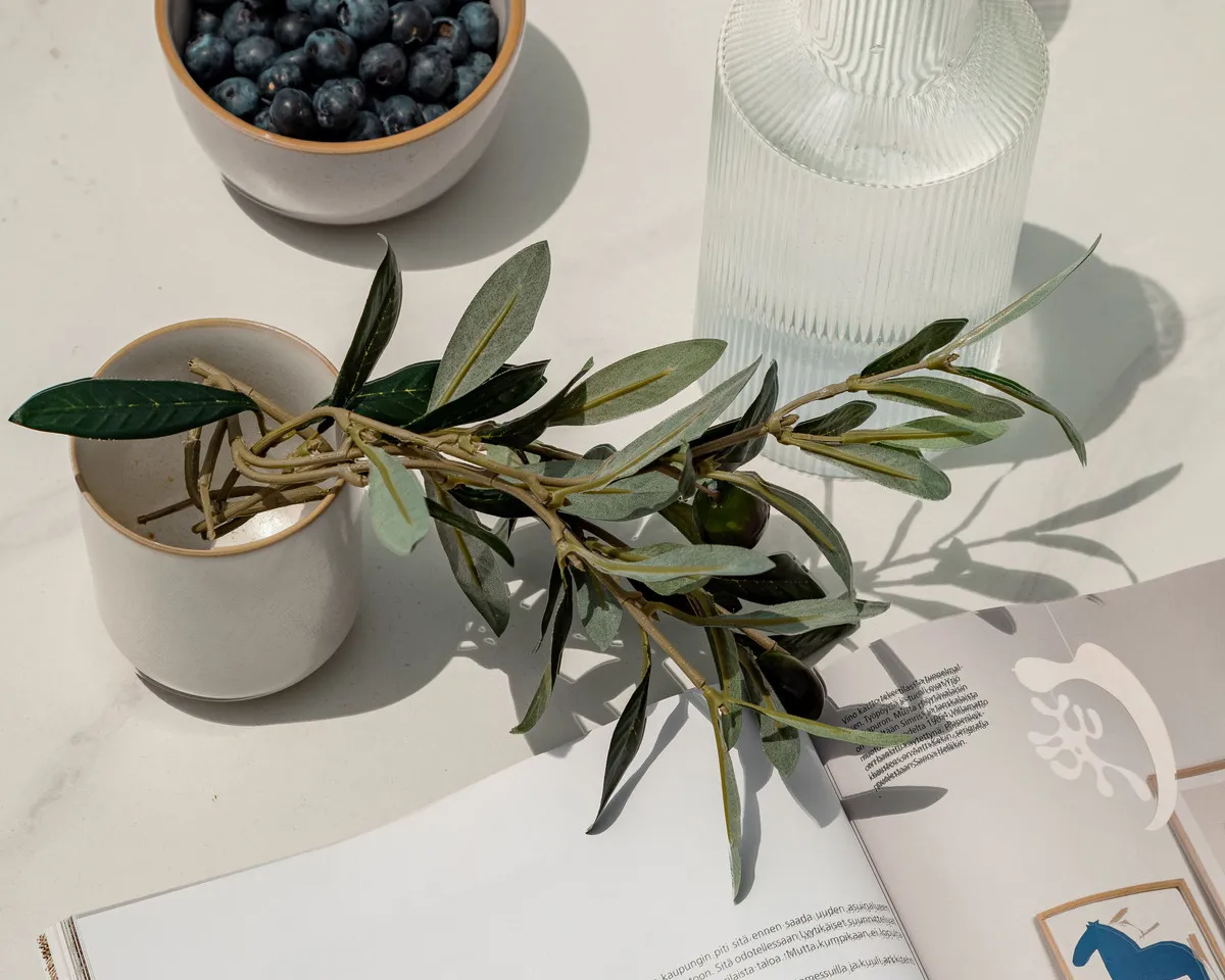 c226cc2c-c67d-4c0e-8146-7f1361d1a084