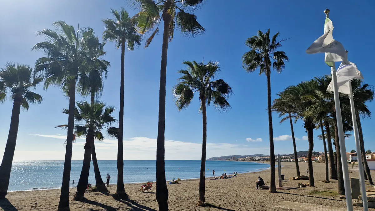 6e5c096b-92ff-443e-8e39-5087e89e3d11